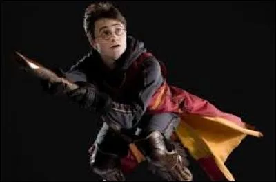 Qui est le nouveau attrapeur de Quidditch de Serpentard ?