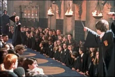 Après les personnes pétrifiées, les professeurs décident d'entraîner les élèves au combat, Drago envoie un serpent pour attaquer Harry... Que fait Harry ?