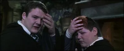 Pourquoi Ron et Harry veulent-ils prendre la forme de Crabbe et Goyle ?