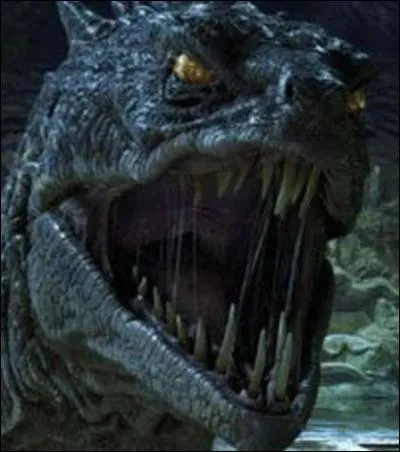 Un monstre serait dans la chambre des secrets... Harry et Ron partent à la bibliothèque... Harry trouve le monstre qui a pétrifié les personnes... De quelle créature s'agit-il ?