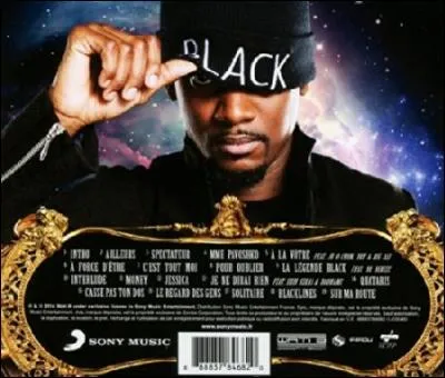 Combien de titres compte l'édition standard de l'album ?