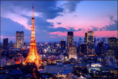 Quel est le nom de cette ville magnifique se situant au Japon ?