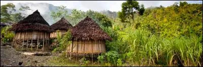 Lequel de ces pays a une ville nommé Lagos ?