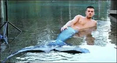 Homère écrivit-il que les sirènes avaient des ailes ?