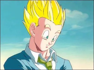 Quelle est la bonne caractéristique de San Gohan ?