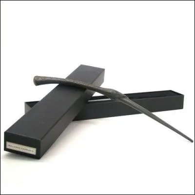 A quel mangemort appartient cette baguette ?