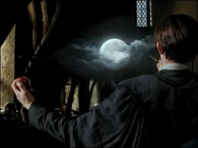 Qui est un loup-garou ?