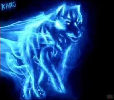Quel auror contrôle ce patronus ?