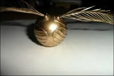 Quel joueur de quidditch est le meilleur attrapeur du monde ?