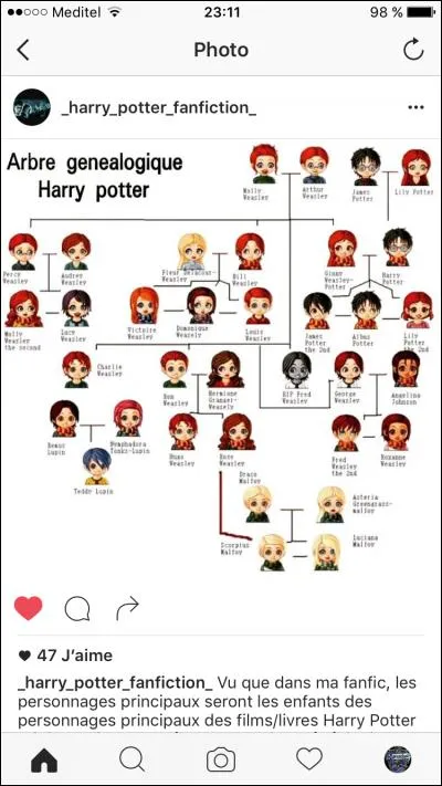 De qui était amoureux Severus Rogue ?