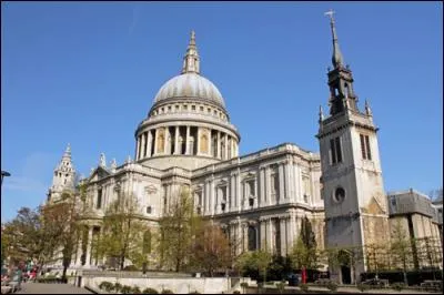 A quelle hauteur la coupole de la cathédrale Saint-Paul s'élève-t-elle ?