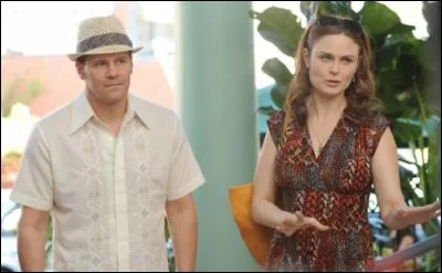 Où se passera la lune de miel ?