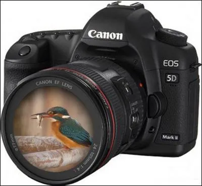 Le petit oiseau va sortir, les anglais vous diront "Say...." :