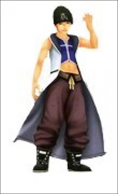 Qui est ce jeune garçon orgueilleux, inséparable de ses amis Fuu, Rai et Vivi ?