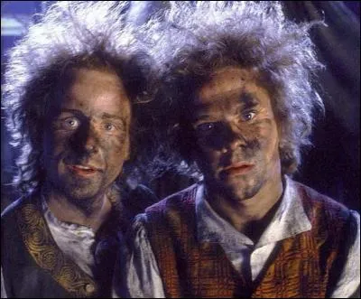 Comment s'appellent les deux autres Hobbits de la compagnie ?