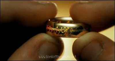 De combien d'hommes, d'elfes, de nains, de hobbits, de magiciens, est composée la communauté de l'anneau ?