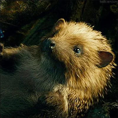 Comment s'appelle le hérisson que sauve Radagast ?