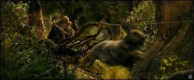 Comment s'appellent les lapins qui tirent le traîneau de Radagast ?