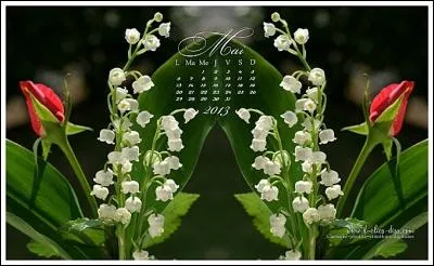 Avec sa gueule de métèque, il est né un 3 mai :