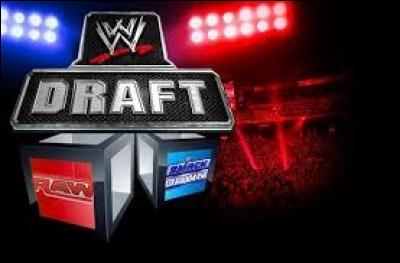 La fédération WWE entre dans une nouvelle ère! Il a donc été décidé de séparer Raw et Smackdown, ainsi que les superstars, se voyant chacune assignée à un show précis. Par conséquent, un draft fut organisé le 19 juillet 2016, lors du show suivant :