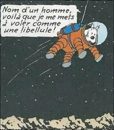 Quel chien a march&eacute; sur la Lune dans une bande dessin&eacute;e d'Herg&eacute; ?