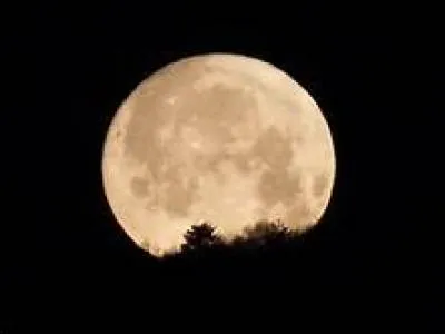 Comment &ecirc;tes-vous si vous &ecirc;tes &eacute;tourdi ?