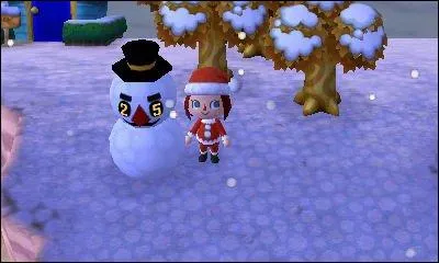 Qui est ce bonhomme de neige ?