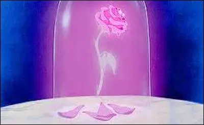 Quelle fleur associe-t-on à la Bête ?