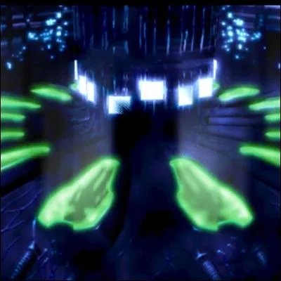 Comment se nomme le programme de la Fondation Future ?