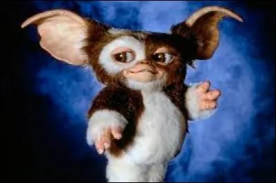 Dans le film "Gremlins" sorti en 1984, qu'est-ce qui cause la duplication d'un Gremlin ?