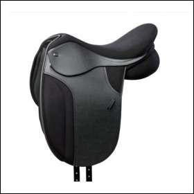 Quiz Galop 1