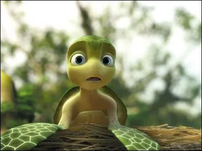 Où pouvez-vous voir cette tortue ?