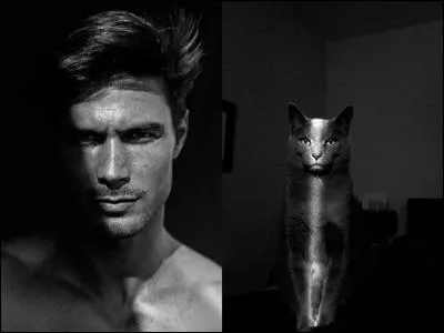 2 - Le beau gosse et le chaton n'ont pas l'air très sympathiques... D'après vous, comment notre beau gosse est-il, en couleur ?