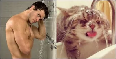 7 - Notre beau gosse a l'air de bien se sentir sous sa douche, ce qui n'est pas le cas de ce chat... Laquelle de ces affirmations est vraie sur l'eau qui les lave ?