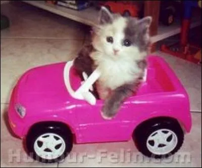 (Réponse logique) En voiture... c'est moi qui conduis, c'est toi qui klaxonnes !