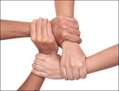 La Bulgarie, l'Angola et la Bolivie ont la même devise : "L'union fait la force". Quel autre pays possède cette devise ?