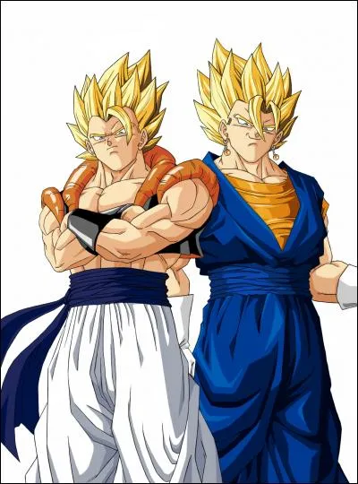 Quelles sont les deux fusions de Vegeta et Goku ?