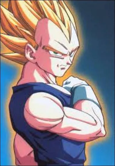 Combien d'enfants a Vegeta ?