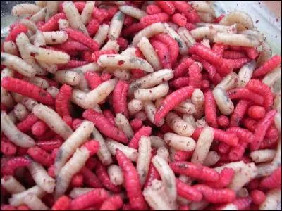 Voici la dernière réponse, et si vous me dites qu'elle est piégeuse, vous aurez tout à fait raison !