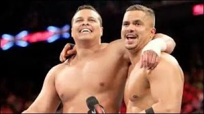 Les cousins Primo et Epico, connus désormais sous le nom de "The Shining Stars", n'ont pas fini de faire l'éloge de leur "chère" Porto Rico, agaçant considérablement le public de la WWE. A quel show appartiennent-ils ?