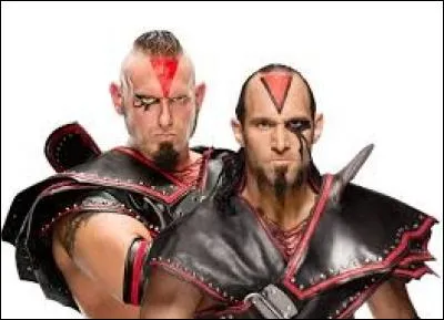 Composée de Konnor et Viktor, voici "The Ascension". Ces deux adeptes du tabassage sans compromis, font partie des catcheurs luttant à ...