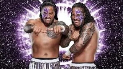 Les jumeaux Jimmy et Jey Uso, issus d'une grande famille du catch, forment une équipe survoltée et n'hésitant pas à déjouer l'apesanteur. Maintenant, dans quel show de la WWE combattront-ils ?