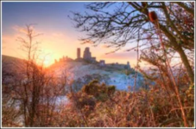 Une dernière attaque de Dracula sur les protagonistes va avoir lieu. Elle a échoué ; pourquoi ?