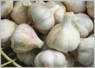 Pourquoi se rend-il là-bas ?