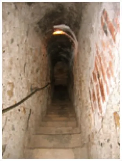 Que découvre Harker au sujet de Dracula ?