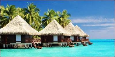 Nous nous sommes cotisés pour lui offrir un voyage de rêve dans l'océan Indien !