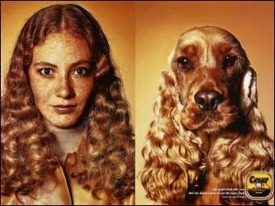 Quelle est la race de ce chien qui ressemble comme deux gouttes d'eau à sa maîtresse ?