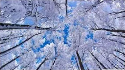 Généralement, quelle saison accueille la neige en France ?