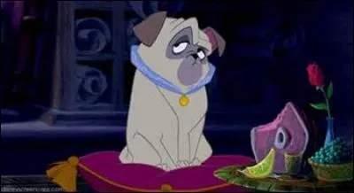 Que mange Percy dans son bain ?