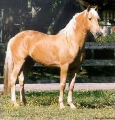 Trouverez-vous sa race ?